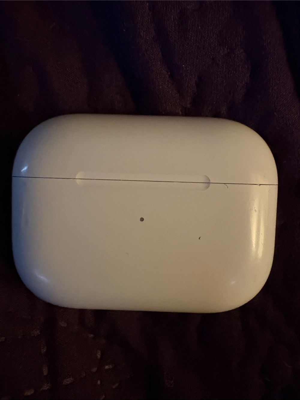Apple White AirPods Pro Charging Case